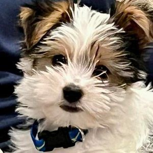 Meet your Posher, Jean